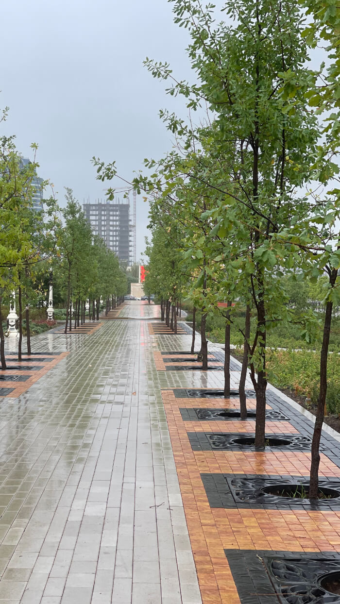 Приствольная решетка для дерева ZKING CRUST 1.2х1.2м Черная в Сертолово фото