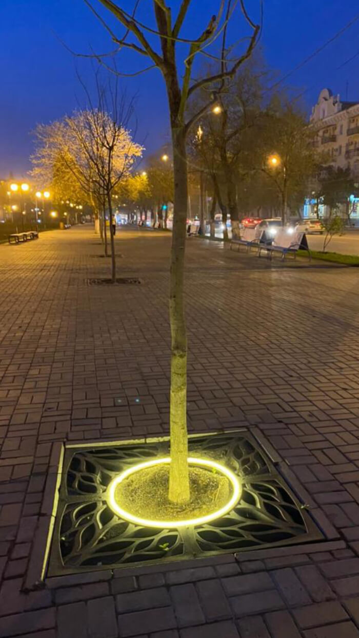 Приствольная решетка для дерева ZKING CRUST 1.2х1.2м Черная в Сертолово фото